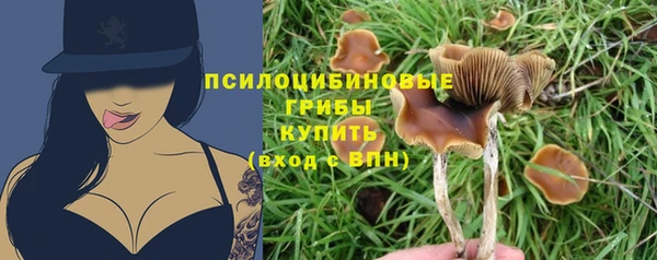 соль ск Нефтекумск