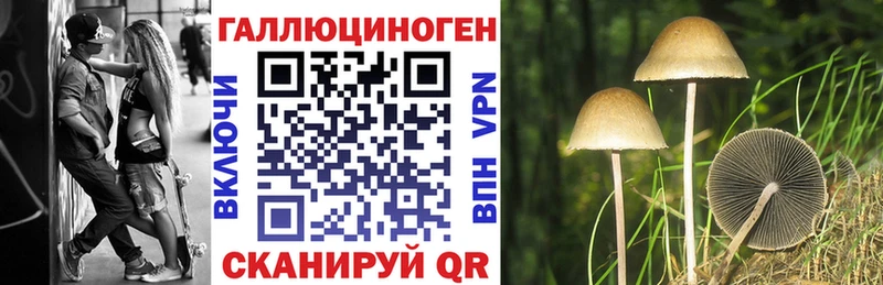 закладки  Никольск  hydra ONION  Галлюциногенные грибы Cubensis 